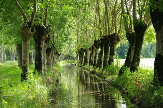 Une Maraichine En Bord De Conche Avec Barque Sans Linge De Maison Arçais Buitenkant foto